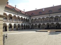 Schloss Niepolomice 